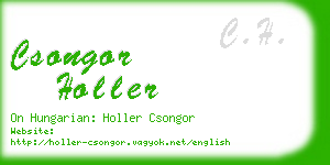 csongor holler business card